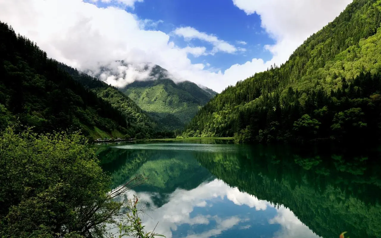 高效高效智能化